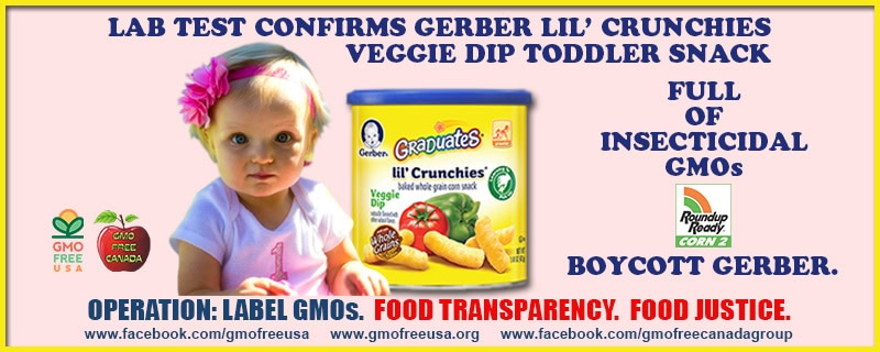 20150331_Gerber_LilCrunchies_VeggieDip