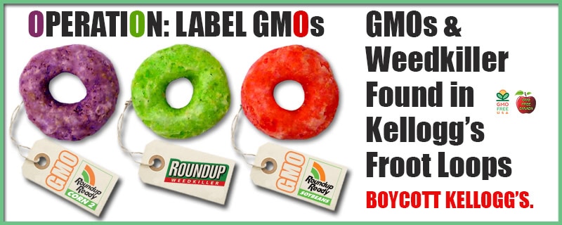 Kelloggs_FrootLoops_Web2